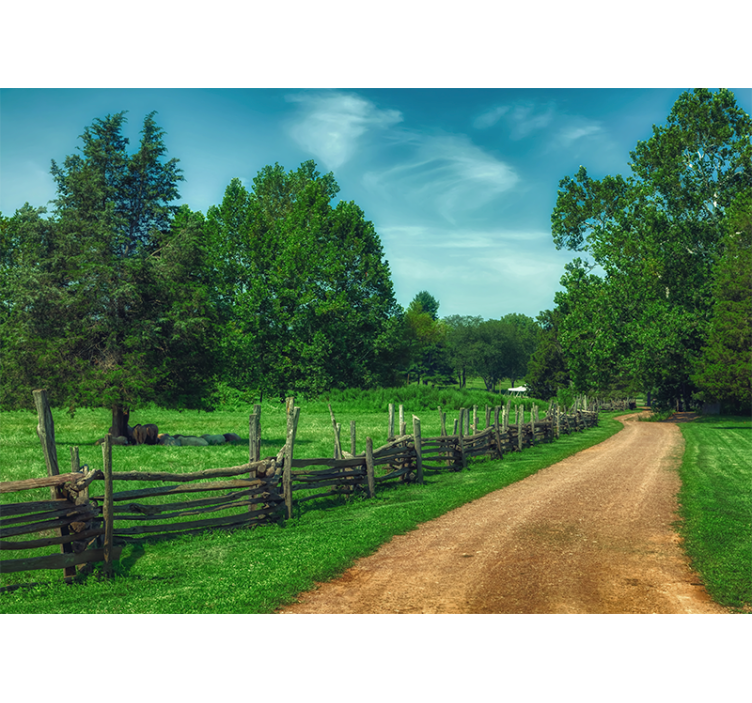 Mural de paisajes camino verde vibrante - TenVinilo