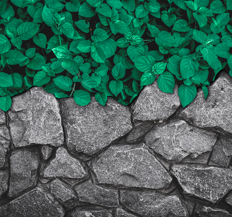 Mural de naturaleza exuberante contraste de vegetación - TenVinilo