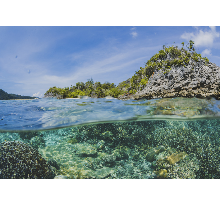 Fotomural pared de mar bajo el agua - TenVinilo
