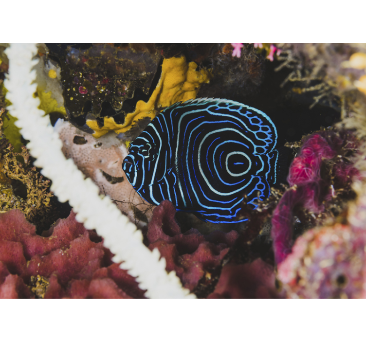 Mural de animales patrones de peces azules - TenVinilo