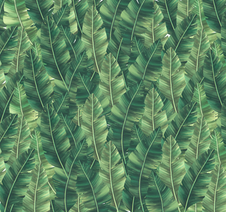 Fotomural de naturaleza hojas grandes - TenVinilo