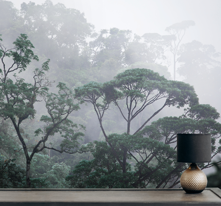 Fotomural de bosque Grandes árboles en un día brumoso - TenVinilo