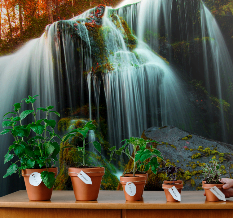 Fotomural de cascada Bosque profundo - TenVinilo