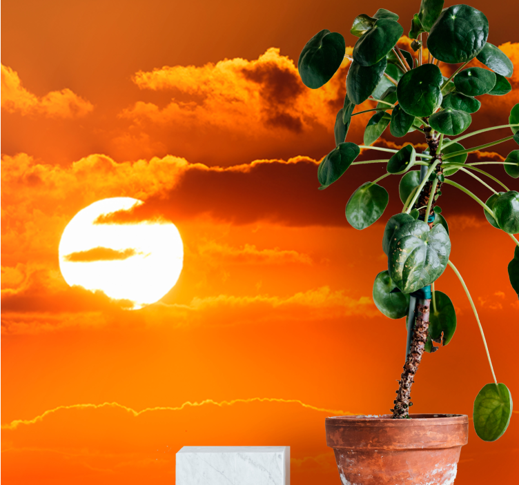 Fotomural cielo Fotografía estética de nubes y puestas de sol. - TenVinilo