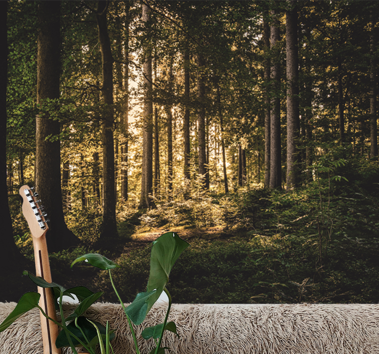 Fotomural naturaleza Bosque del mediodía - TenVinilo