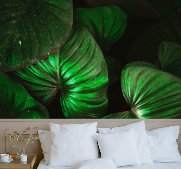 Fotomural naturaleza Hojas verdes anchas - TenVinilo