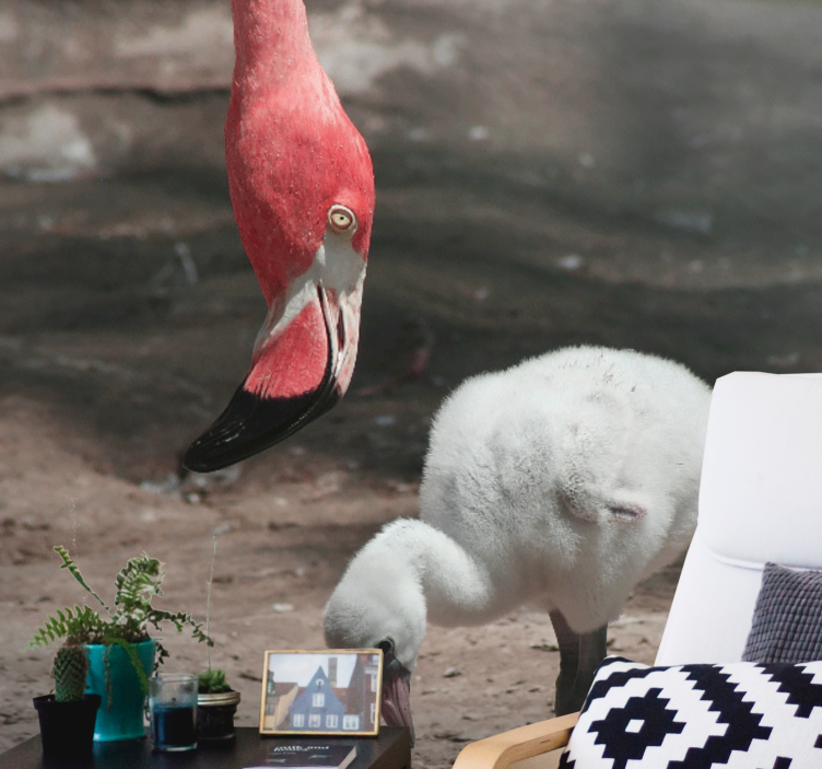 Fotomural para pasillo Flamenco con un flamenco bebé - TenVinilo