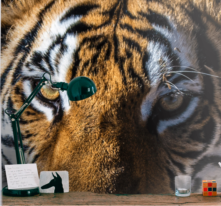 Fotomural africano Hermosos ojos de tigre - TenVinilo