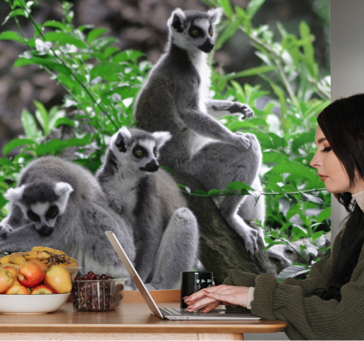 Fotomural africano Lémures de vida silvestre madagascar - TenVinilo