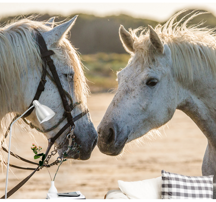 Fotomural animale Dos caballos blancos - TenVinilo