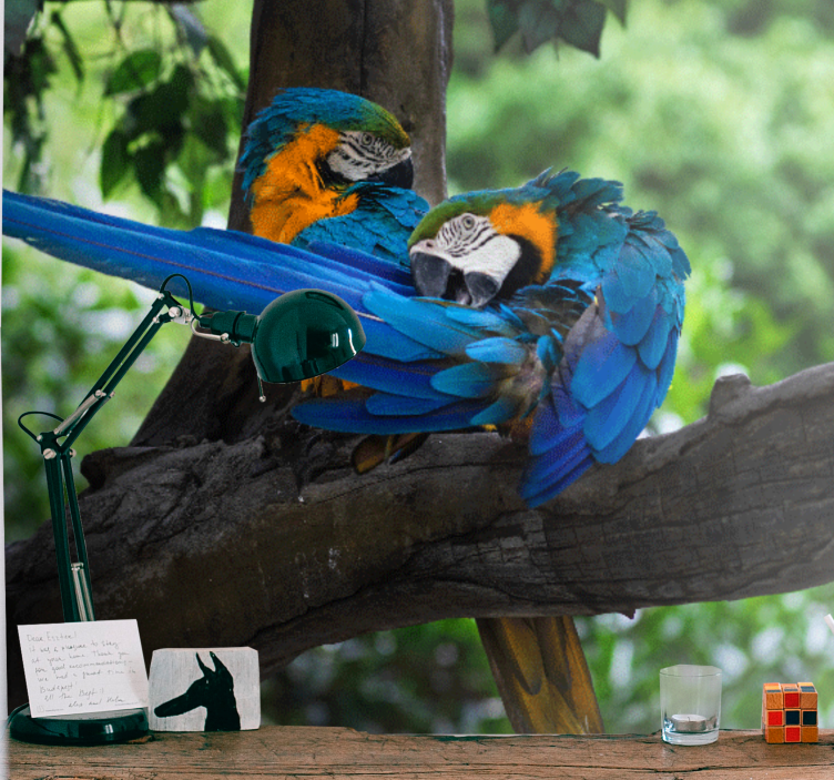 Fotomural animale Loros de colores en la selva. - TenVinilo