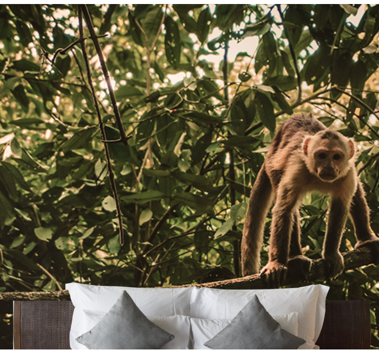 Fotomural animale Monos amazónicos - TenVinilo