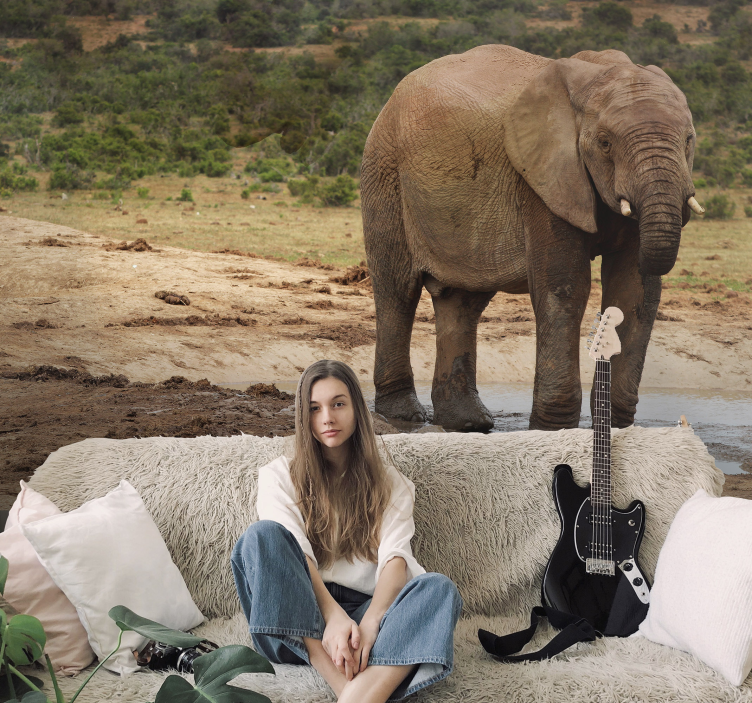 Mural de animales encuentro con elefantes - TenVinilo