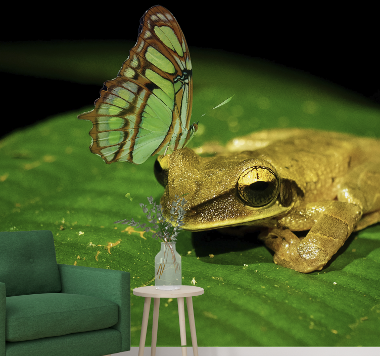 Mural de animales rana y mariposa - TenVinilo