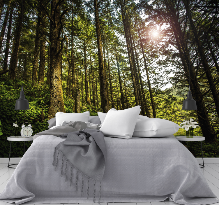 Mural de bosque sendero forestal iluminado por el sol - TenVinilo