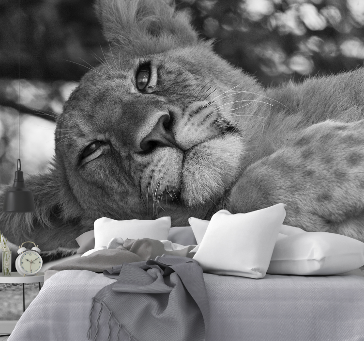 Mural de leones león majestuoso relajante - TenVinilo