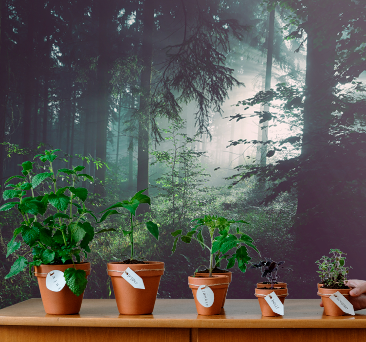 Mural de naturaleza paisaje de bosque verde - TenVinilo