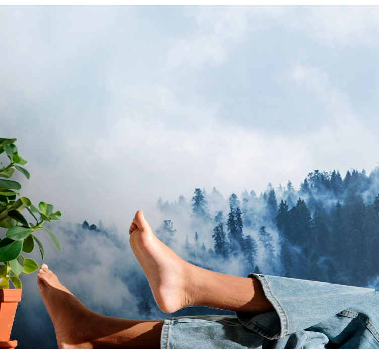 Mural de naturaleza paisaje nublado de bosque - TenVinilo