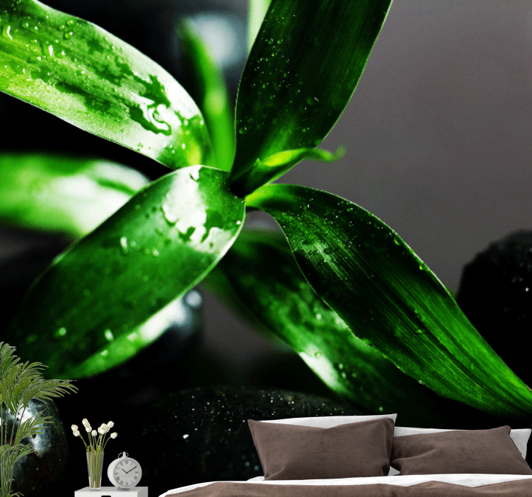 Mural de naturaleza textura de hojas frescas - TenVinilo