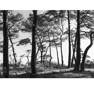 Mural de bosque bosque de pinos en tinta - TenVinilo