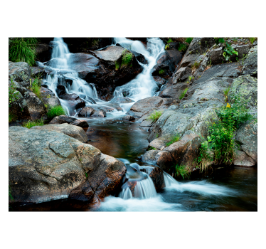 Fotomural paisaje bosque cascada - TenVinilo