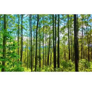Mural de naturaleza Árboles verdes altos - TenVinilo