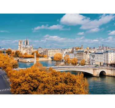 Fotomural París Notre dame - TenVinilo