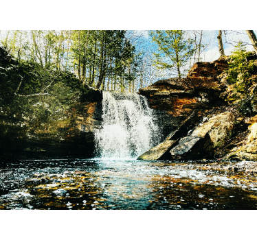 Fotomural cascada Bosque paisaje - TenVinilo