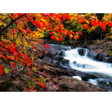 Fotomural cascada Paisaje de otoño con hojas - TenVinilo