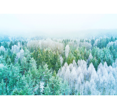 Fotomural de naturaleza Noruega árboles nevados de invierno - TenVinilo