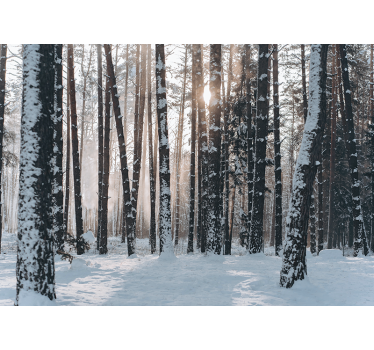 Mural de bosque bosques de pinos invernales - TenVinilo