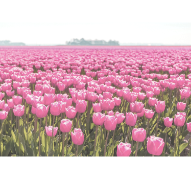 Fotomural tulipanes Campo de tulipanes rosa diferente - TenVinilo