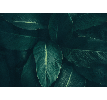 Fotomural de naturaleza Grandes hojas verdes tropicales - TenVinilo