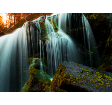 Fotomural cascada Bosque profundo - TenVinilo