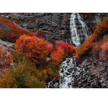 Mural de cascada escena de cascada en otoño - TenVinilo