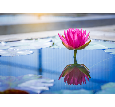 Fotomural efecto 3D flor color lila - TenVinilo