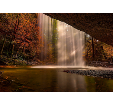Fotomural bosque Paisaje forestal y cascada. - TenVinilo