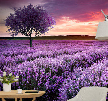 Mural de flores campo de lavanda al atardecer - TenVinilo