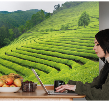 Mural de naturaleza paisaje de plantación de té - TenVinilo