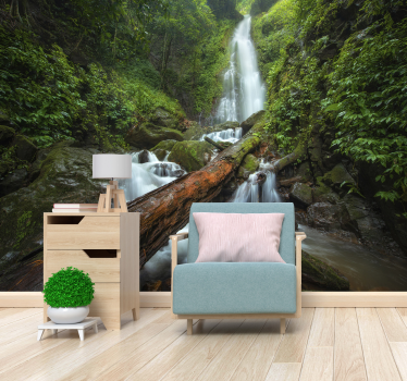 Fotomural bosque frondoso con cascada - TenVinilo