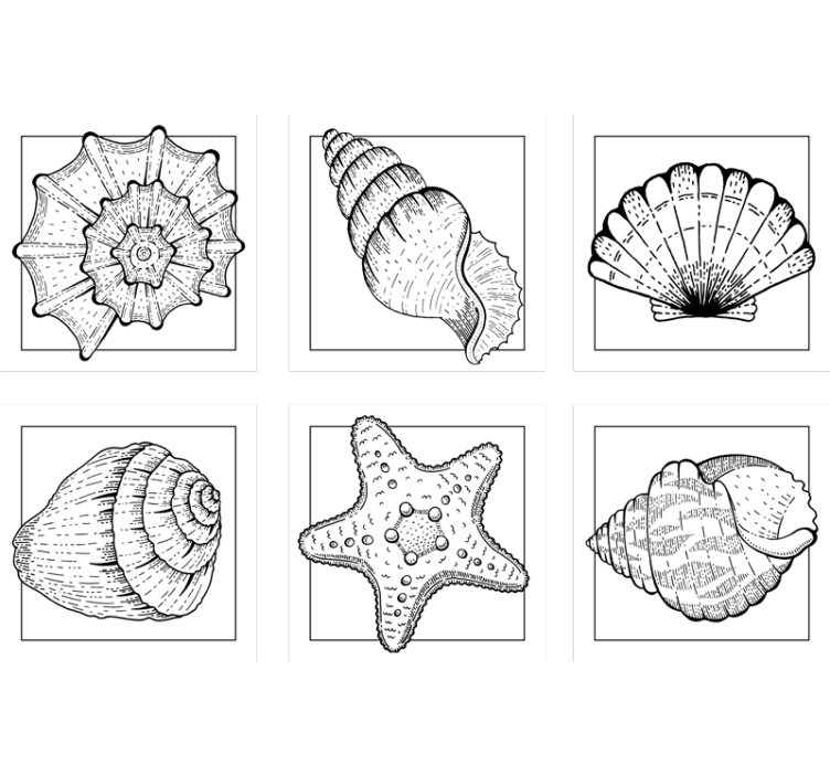 Portavasos con detalles intrincados de conchas - TenVinilo
