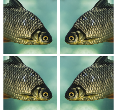 Posavasos frikis imágenes de peces realistas - TenVinilo