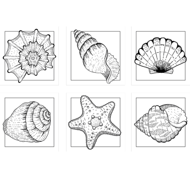 Portavasos con detalles intrincados de conchas - TenVinilo