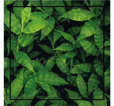 Portavasos patrón de hojas verdes lujosas - TenVinilo