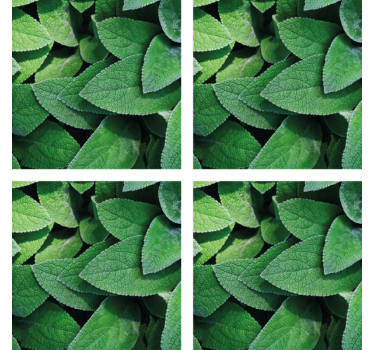 Portavasos motivo de hoja verde vibrante - TenVinilo