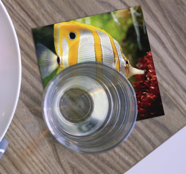 Posavasos de peces blanco y amarillo - TenVinilo