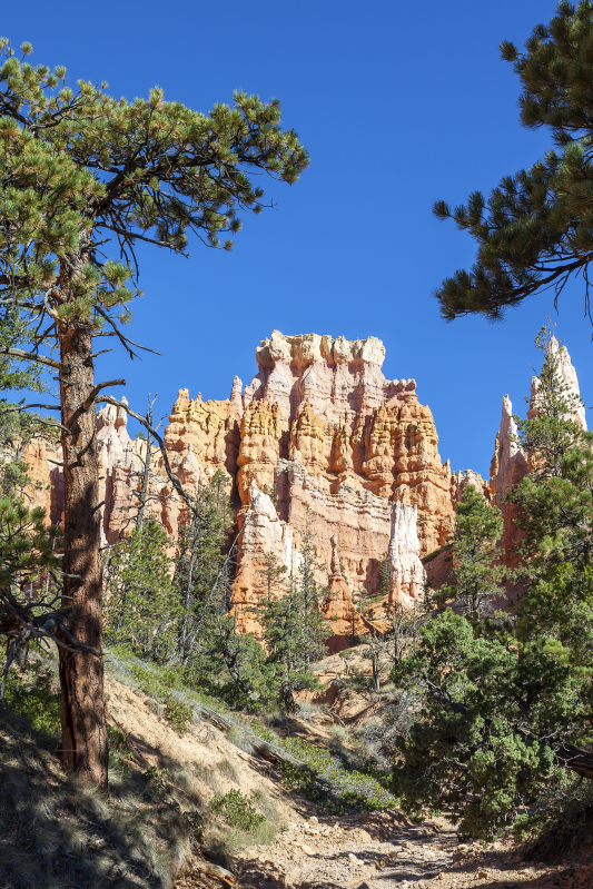 Poster paisaje bryce canyon - TenVinilo