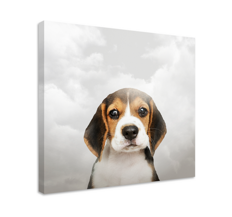 Cuadro de perro retrato de beagle - TenVinilo