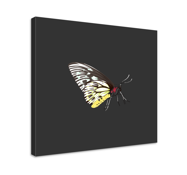 Cuadro mariposas perfil de mariposa elegante - TenVinilo