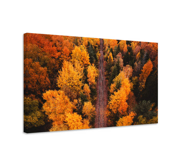 Cuadro paisajes sendero de hojas en otoño - TenVinilo